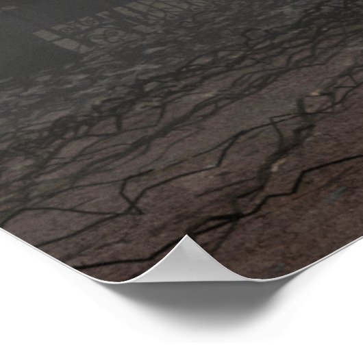 Donkere fegel in het moonlicht poster (Hoek)