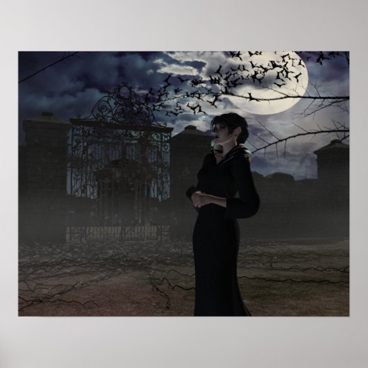Donkere fegel in het moonlicht poster (Voorkant)