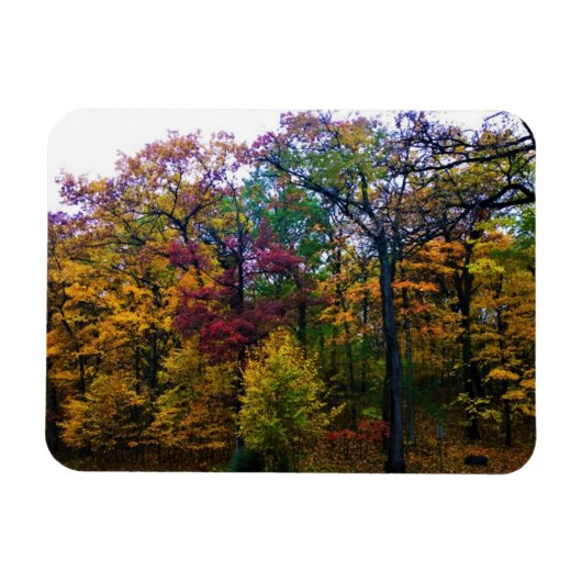 Donkere herfstbos magneet (Horizontaal)