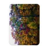 Donkere herfstbos magneet (Verticaal)