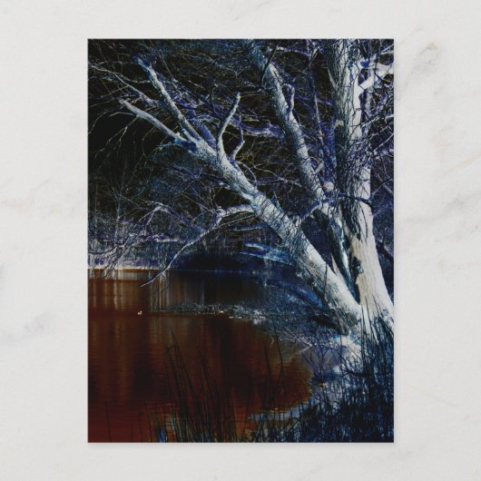 Donkere kant 7 pccnm briefkaart (Voorkant)