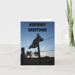 donkere koe schedel kaart