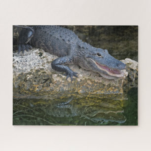 Donkere krokodil met heldere reflectie in water legpuzzel