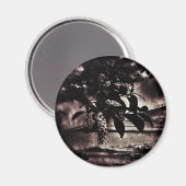 Donkere lente magneet (Voorkant / Achterkant)