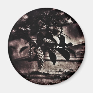 Donkere lente magneet