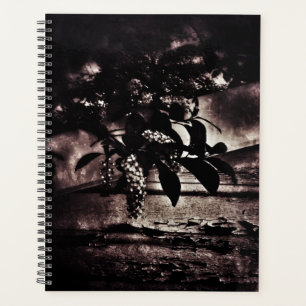 Donkere lente planner