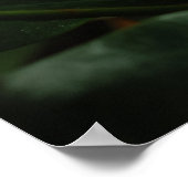 Donkere Magnolia Canvas Afdrukken Poster (Hoek)