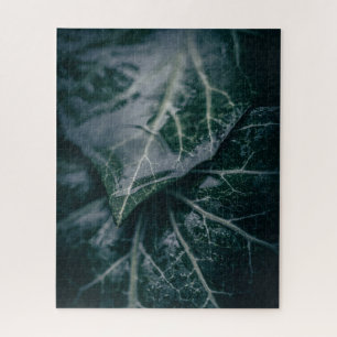 Donkere Moody Ivy Leaves Natuur Foto Legpuzzel