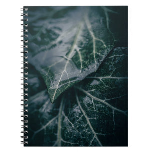 Donkere Moody Ivy Leaves Natuur Foto Notitieboek