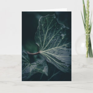 Donkere Natuur met blauw Ivy Leaf Kaart