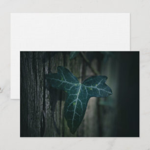 Donkere Natuur met Ivy Leaf-kaart
