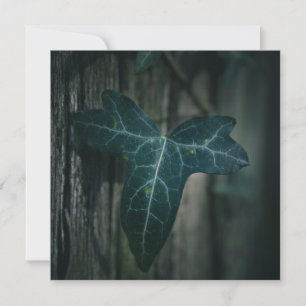 Donkere Natuur met Ivy Leaf-kaart