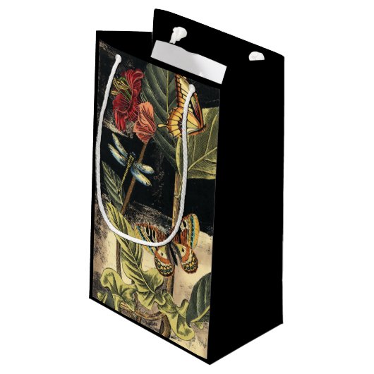 Donkere Natuur scène door Visual Studio Klein Cadeauzakje (Achterkant Gekanteld)