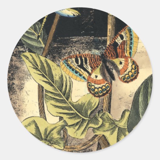 Donkere Natuur scène door Visual Studio Ronde Sticker (Voorkant)