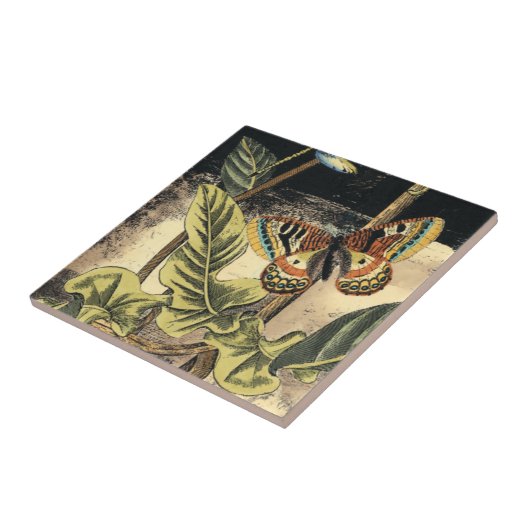 Donkere Natuur scène door Visual Studio Tegeltje (Zijkant)