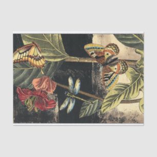 Donkere Natuur scène door Visual Studio Tissuepapier