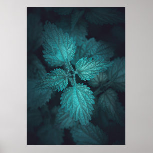Donkere nettle natuur foto poster