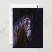 Donkere paarden briefkaart (Voorkant / Achterkant)