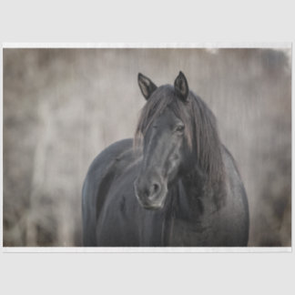 Donkere paarden tissuepapier