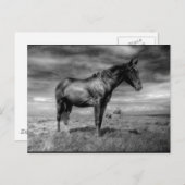 Donkere paarse Briefkaart (Voorkant / Achterkant)