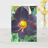 Donkere Paarse Lily Blank Kaart (Gele Bloem)