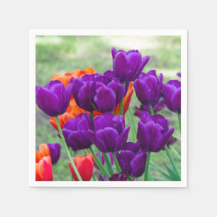 Donkere paarse tulpen op een zonnige dag in de tui servet