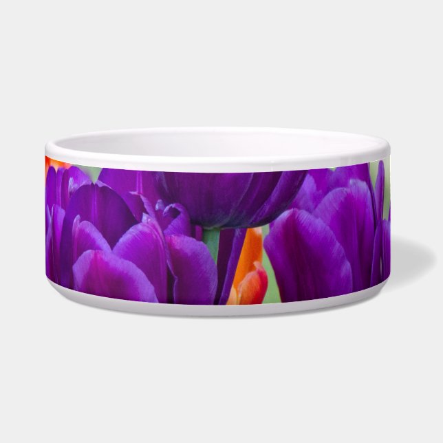 Donkere paarse tulpen op een zonnige dag in de tui voerbakje (Voorkant)