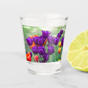 Donkere paarse tulpen shot glas