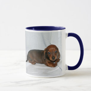 Donkere rode dachshund Puppy Mok