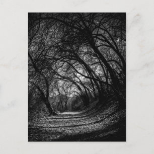 Donkere route briefkaart