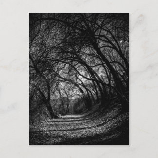 Donkere route briefkaart