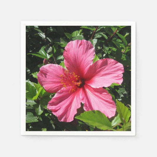 Donkere Roze Hibiscus Servetten (Voorkant)