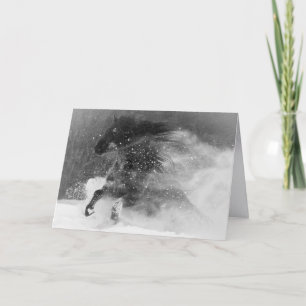 Donkere Sneeuwpaard - Paard Wenskaart Kaart