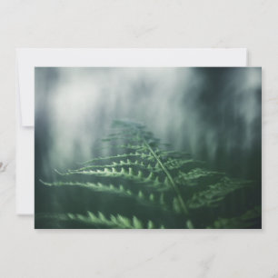Donkere, sombere varen-natuurfotokaart