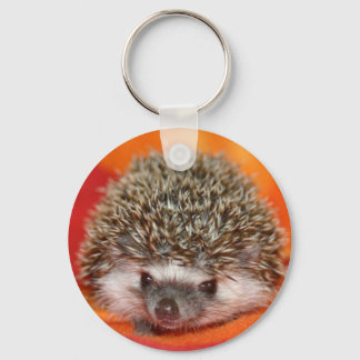 Donkere standaard hh sleutelhanger