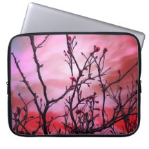 Donkere takken rode knoppen en blauwe hemel