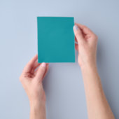 Donkere Tealgroene Flyer (Hand)