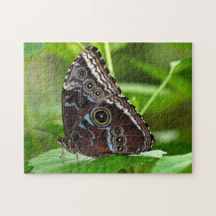 Donkere vlinder die op leder zit legpuzzel