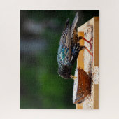 Donkere zeevogel-eetkokosnoot legpuzzel (Verticaal)