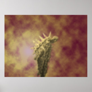 donkerengel poster