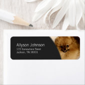 Donkergrijs & Pommerse foto Adresetiketten Etiket (Insitu)