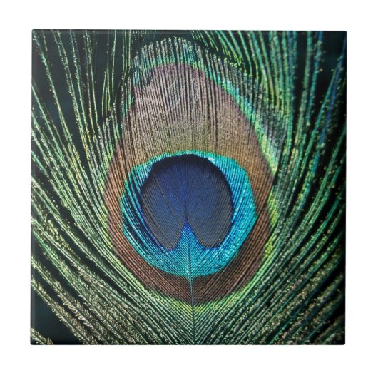Donkergroene Peacock Feather Tile Tegeltje (Voorkant)