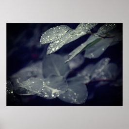 Donkergroene regenachtige bladeren poster