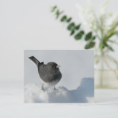 Donkerogige Junco Briefkaart (Staand voorkant)