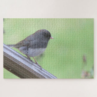 Donkerogige Junco Legpuzzel