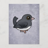 Donkerogige Junco (leisteenkleurig) Briefkaart (Voorkant)