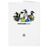 Donkerogige Junco (Oregon) (Achterkant)