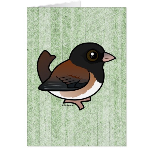 Donkerogige Junco (Oregon) (Voorkant)