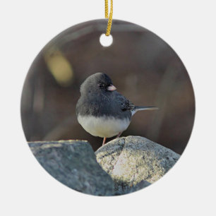 Donkeroogige junco keramisch ornament