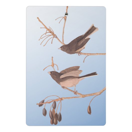 Donkerooige Junco Audubon-sneeuwvogels op de bakaf Mini Klembord (Achterkant)